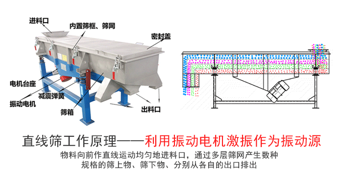 鸡精颗粒草莓视频APP污网站免费在线观看